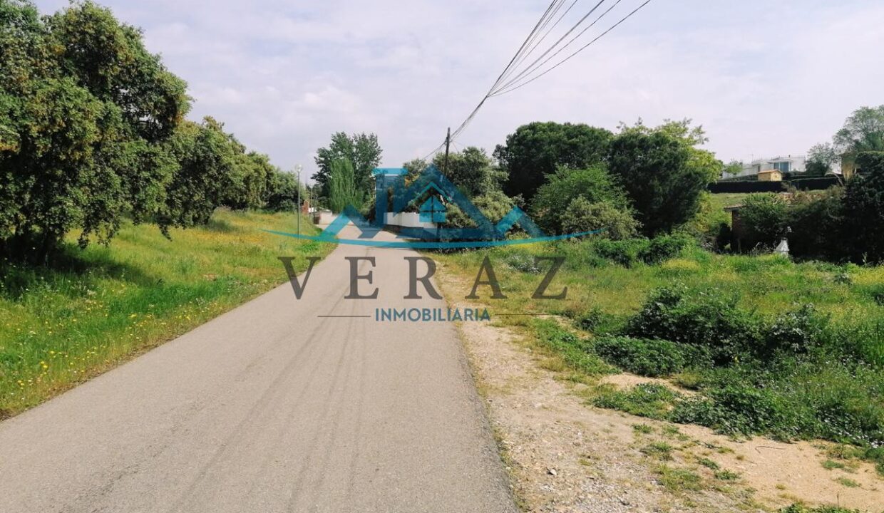 3131364-12a7cdbb
