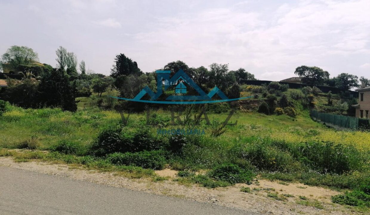 3131364-4cf40845