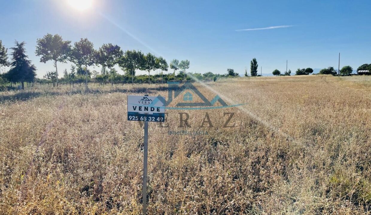 3606293-9455d850