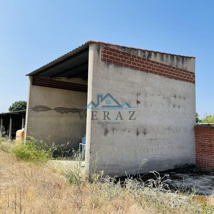 3720551-711f9225