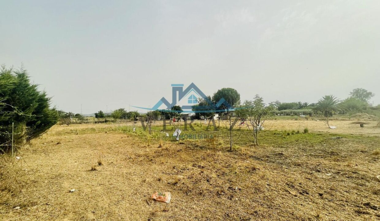 3778955-a89d3109